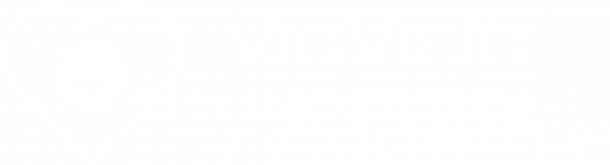 Logo van ViaViela Academie